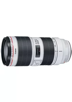 Discount 😀 Canon Ef 70-200mm F/2.8l Is Iii Lens 🔔 -Outlet Canon Store Belk 617