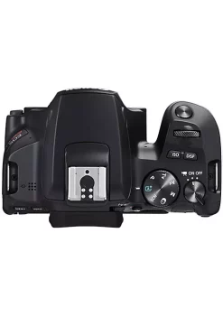Cheap 🛒 Canon Eos Rebel Sl3 Built-in Wi-fi Dslr Camera Body Only - Black 🥰 -Outlet Canon Store Belk 946